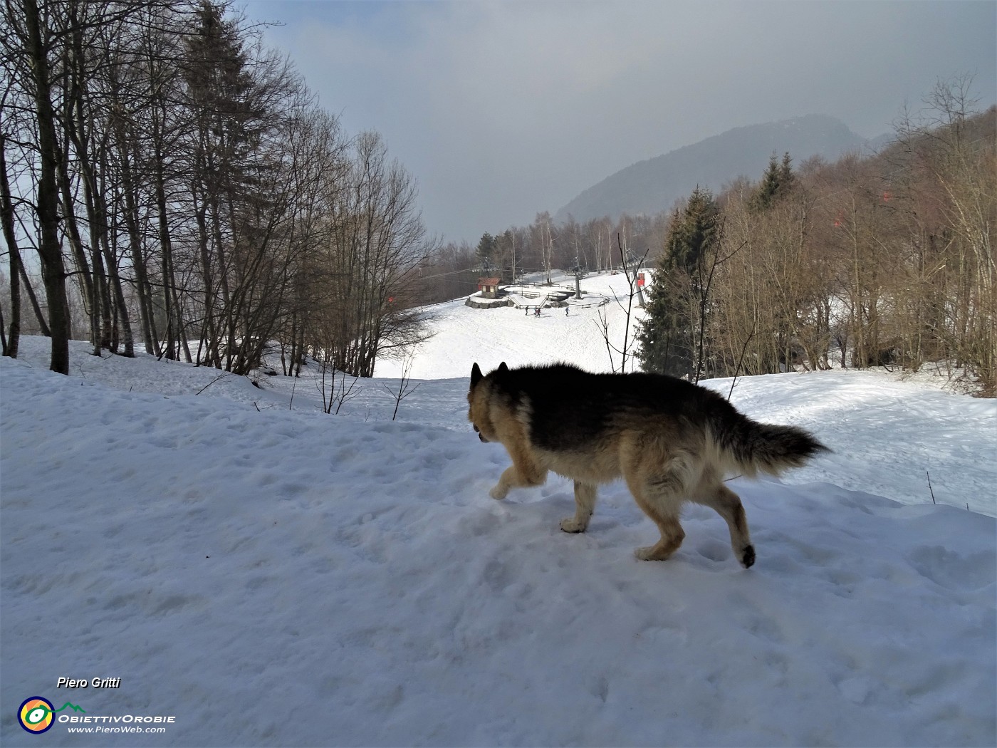 55 E pestiamo neve ....JPG